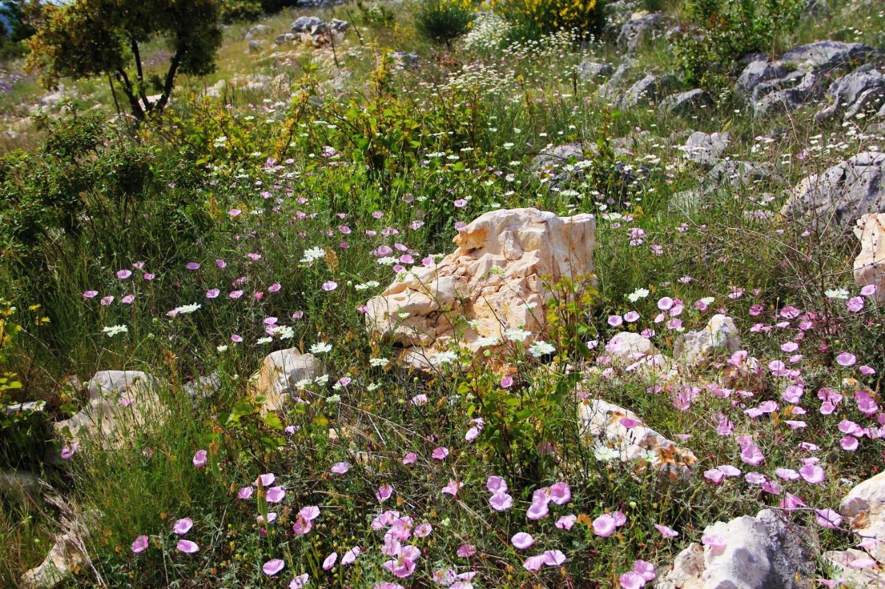 Villa Zlatno Sunce In The Hills Near Trogir Vrsine Exterior foto